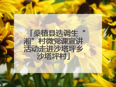 桑植县选调生“湘”村微党课宣讲活动走进沙塔坪乡沙塔坪村