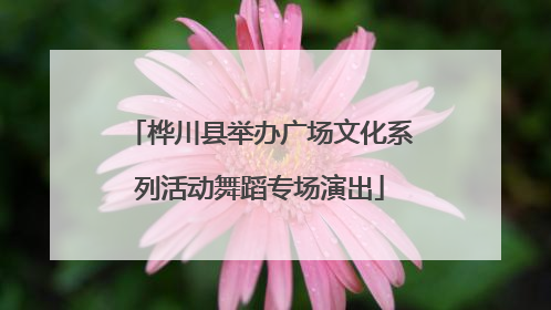 桦川县举办广场文化系列活动舞蹈专场演出