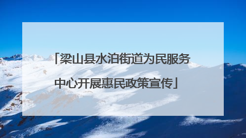 梁山县水泊街道为民服务中心开展惠民政策宣传