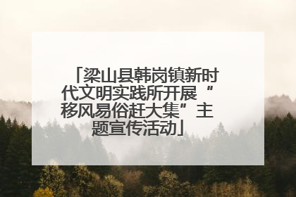 梁山县韩岗镇新时代文明实践所开展“移风易俗赶大集”主题宣传活动