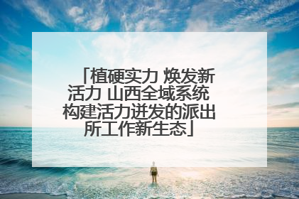 植硬实力 焕发新活力 山西全域系统构建活力迸发的派出所工作新生态