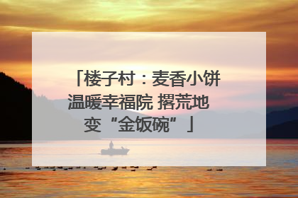楼子村：麦香小饼温暖幸福院 撂荒地变“金饭碗”