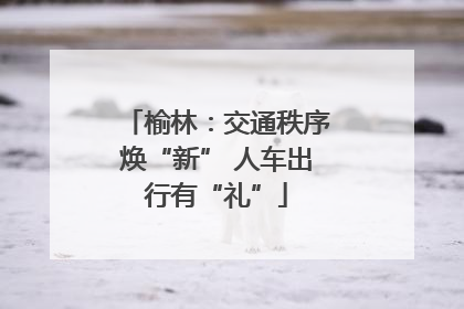 榆林：交通秩序焕“新” 人车出行有“礼”