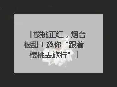 樱桃正红，烟台很甜！邀你“跟着樱桃去旅行”