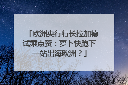 欧洲央行行长拉加德试乘点赞：萝卜快跑下一站出海欧洲？