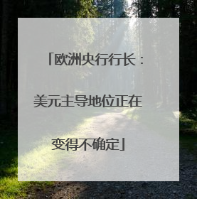 欧洲央行行长：美元主导地位正在变得不确定