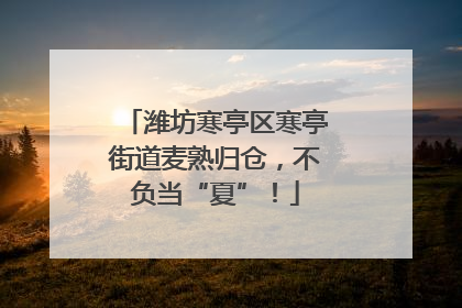 潍坊寒亭区寒亭街道麦熟归仓，不负当“夏”！