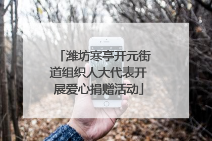 潍坊寒亭开元街道组织人大代表开展爱心捐赠活动
