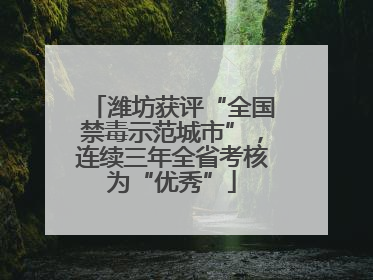 潍坊获评“全国禁毒示范城市”，连续三年全省考核为“优秀”