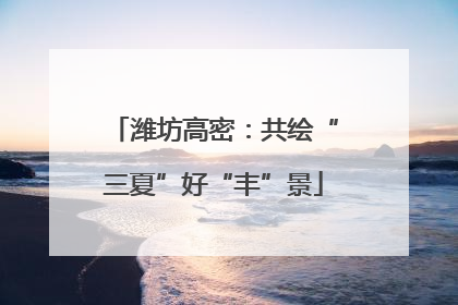 潍坊高密：共绘“三夏”好“丰”景