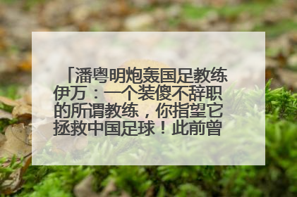 潘粤明炮轰国足教练伊万：一个装傻不辞职的所谓教练，你指望它拯救中国足球！此前曾多次发文评价国足