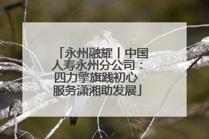 永州融耀丨中国人寿永州分公司：四力擎旗践初心 服务潇湘助发展