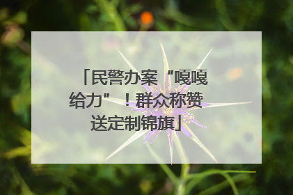 民警办案“嘎嘎给力”！群众称赞送定制锦旗