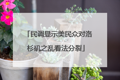 民调显示美民众对洛杉矶之乱看法分裂