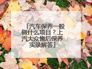 汽车保养一般做什么项目？上汽大众售后保养实录解答