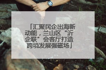 汇聚民企出海新动能，兰山区“沂企联”会客厅打造跨境发展强磁场