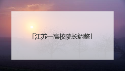 江苏一高校院长调整