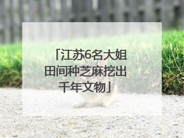 江苏6名大姐田间种芝麻挖出千年文物