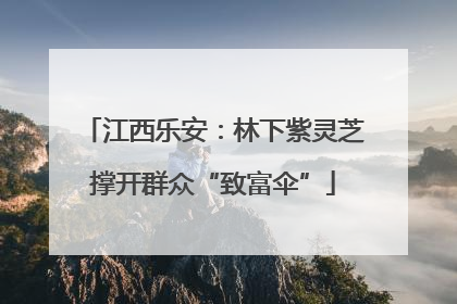 江西乐安：林下紫灵芝撑开群众“致富伞”