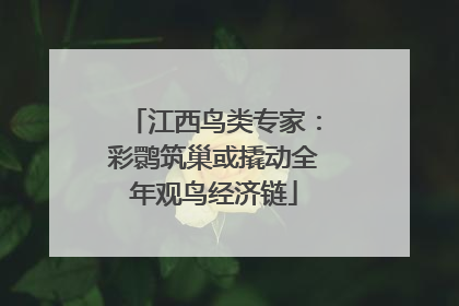 江西鸟类专家：彩鹮筑巢或撬动全年观鸟经济链