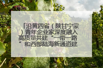 沿黄四省（陕甘宁蒙）青年企业家深度融入高质量共建“一带一路”和西部陆海新通道建设战略合作交流会在甘肃兰州召开