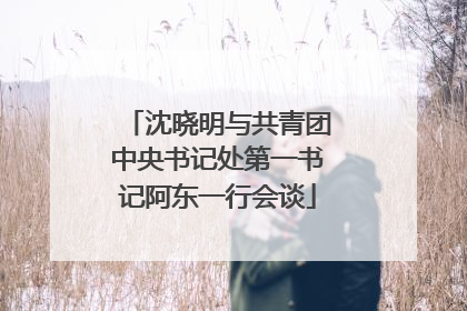 沈晓明与共青团中央书记处第一书记阿东一行会谈