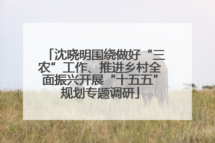 沈晓明围绕做好“三农”工作、推进乡村全面振兴开展“十五五”规划专题调研