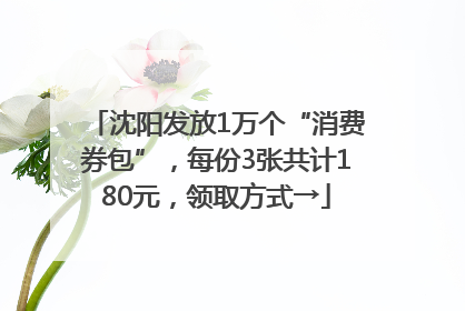 沈阳发放1万个“消费券包”，每份3张共计180元，领取方式→
