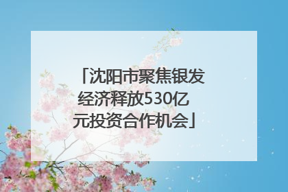 沈阳市聚焦银发经济释放530亿元投资合作机会