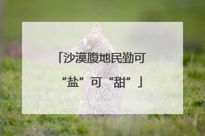沙漠腹地民勤可“盐”可“甜”