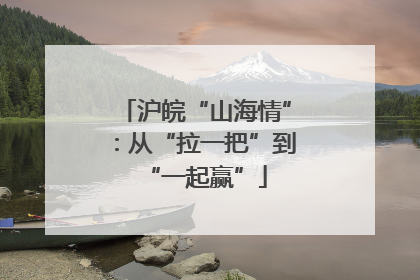 沪皖“山海情”：从“拉一把”到“一起赢”