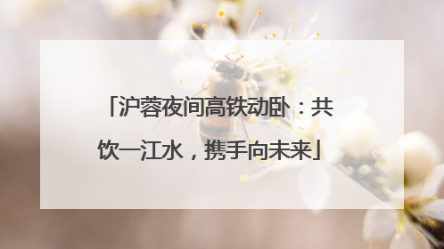 沪蓉夜间高铁动卧：共饮一江水，携手向未来