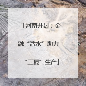 河南开封：金融“活水”助力“三夏”生产