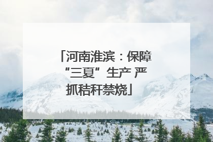 河南淮滨：保障“三夏”生产 严抓秸秆禁烧