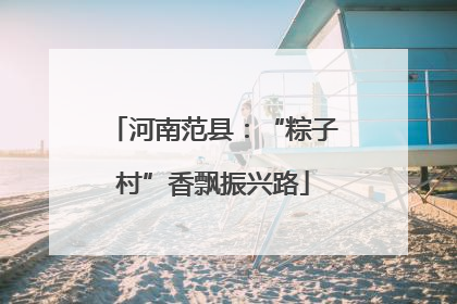 河南范县：“粽子村”香飘振兴路