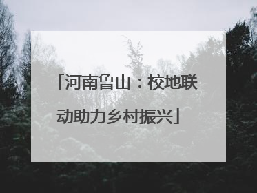 河南鲁山：校地联动助力乡村振兴