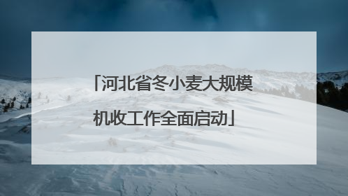 河北省冬小麦大规模机收工作全面启动