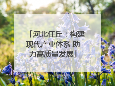 河北任丘：构建现代产业体系 助力高质量发展