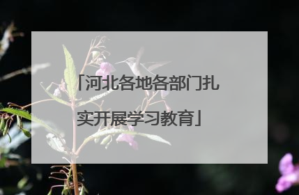 河北各地各部门扎实开展学习教育