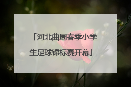 河北曲周春季小学生足球锦标赛开幕