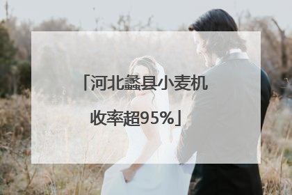 河北蠡县小麦机收率超95%