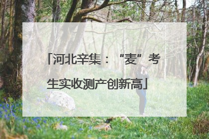 河北辛集：“麦”考生实收测产创新高