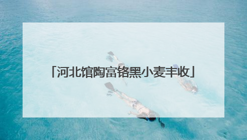 河北馆陶富铬黑小麦丰收