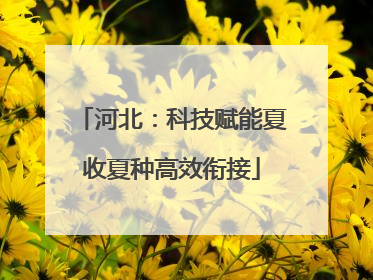 河北：科技赋能夏收夏种高效衔接
