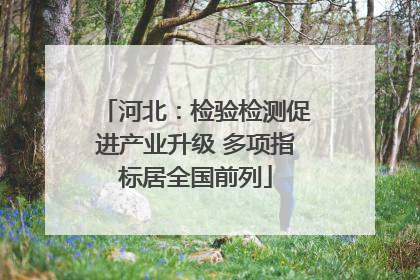 河北：检验检测促进产业升级 多项指标居全国前列