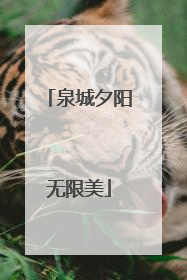 泉城夕阳无限美