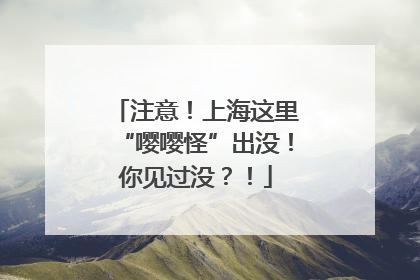 注意！上海这里“嘤嘤怪”出没！你见过没？！