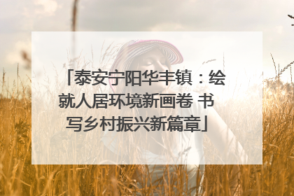 泰安宁阳华丰镇：绘就人居环境新画卷 书写乡村振兴新篇章