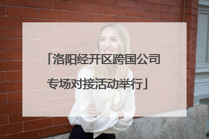 洛阳经开区跨国公司专场对接活动举行