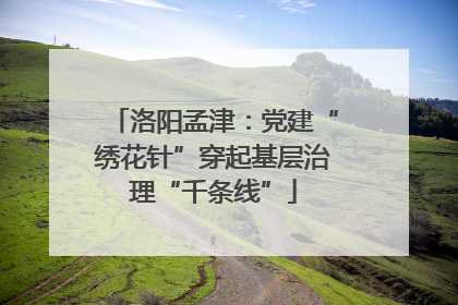 洛阳孟津：党建“绣花针”穿起基层治理“千条线”